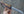 Custom (cpm magnacut core, gidgee)